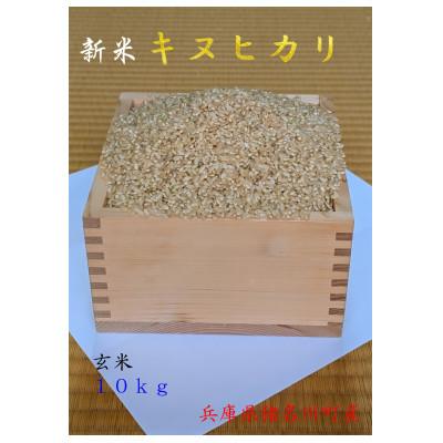 ふるさと納税 猪名川町 キヌヒカリ 令和8年産新米(玄米)
