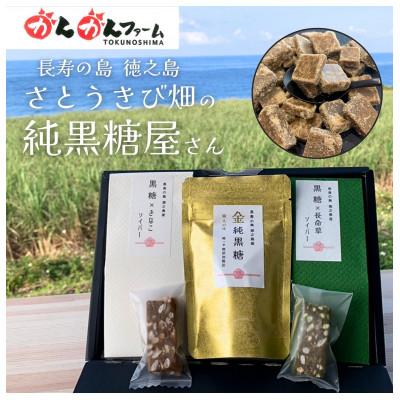 ふるさと納税 伊仙町 金純黒糖ソイバー2種ギフトセット