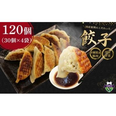 ふるさと納税 藤枝市 国産原料餃子 120個セット