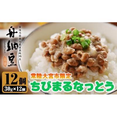 ふるさと納税 常陸大宮市 常陸大宮限定!舟納豆 ちびまる納豆12パック
