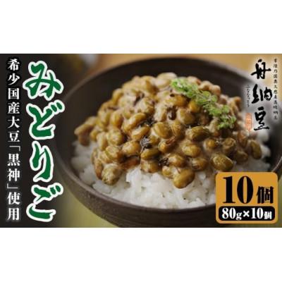 ふるさと納税 常陸大宮市 舟納豆 みどりご 80g×10パック