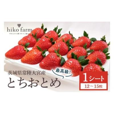 ふるさと納税 常陸大宮市 いちごのおくりもの(最高級とちおとめ)1シート(12〜15粒)