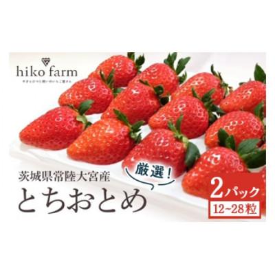 ふるさと納税 常陸大宮市 ごほうびいちご(厳選とちおとめ)2パック入り(12〜28粒)黒パッケージ