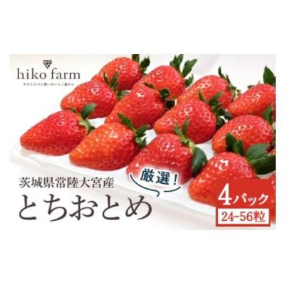 ふるさと納税 常陸大宮市 ごほうびいちご(厳選とちおとめ)4パック入り(24〜56粒)黒パッケージ