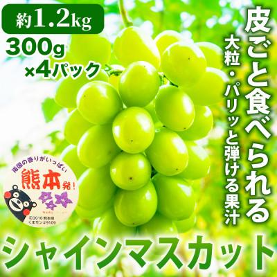 ふるさと納税 山鹿市 シャインマスカット ぶどう 4パック 約1.2kg(山鹿市)
