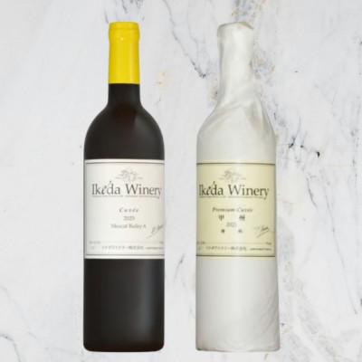 ふるさと納税 甲州市 イケダワイナリー[プレミアム・キュヴェ 甲州/マスカットベリーA]2本セット