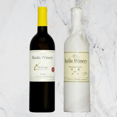 ふるさと納税 甲州市 イケダワイナリー[プレミアム・キュヴェ 甲州/ヴァン・ルージュ]2本セット