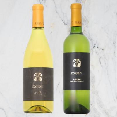 ふるさと納税 甲州市 ロリアン 甲州樽発酵・シャルドネ 2本セット