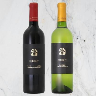 ふるさと納税 甲州市 ロリアン 甲州樽発酵・マスカット・ベーリーA樽熟成 2本セット