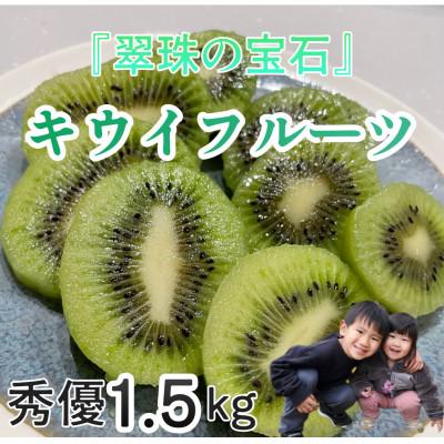 ふるさと納税 伊予市 『翠珠の宝石』キウイ 秀品・優品込み 1.5kg
