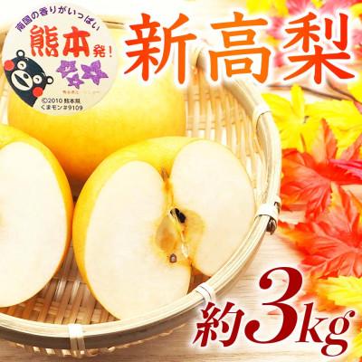 ふるさと納税 山鹿市 新高梨 4〜12玉 約3kg(山鹿市)