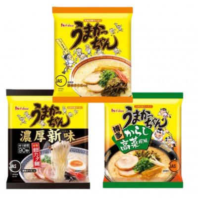 ふるさと納税 福岡市 うまかっちゃんアソート 30食(5食入×6袋)【豚骨ラーメン】(福岡市)WS018 | 