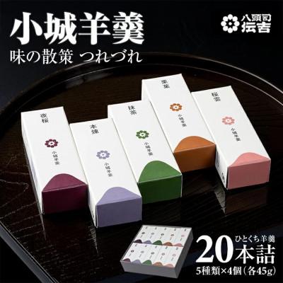 ふるさと納税 小城市 小城羊羹 つれづれ(贈答用 20本詰)