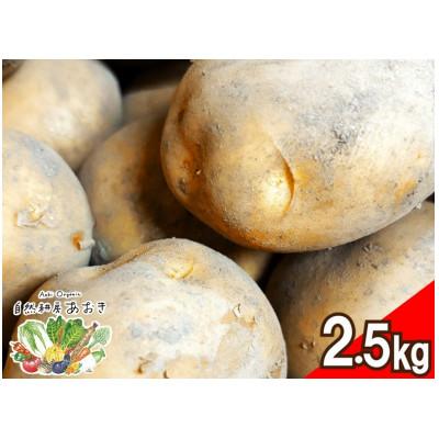 ふるさと納税 京丹後市 [先行予約]自然のままに育ったじゃがいも2.5kg(7月上旬〜順次発送)3品種のいずれかお届け