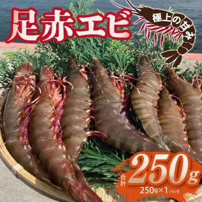 ふるさと納税 泉佐野市 足赤エビ 250g 国産 天然 生食可 010B1862