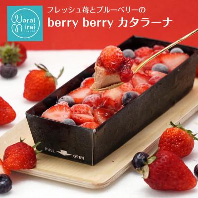 ふるさと納税 飯田市 ベリーベリーカタラーナ