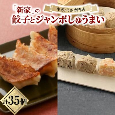 ふるさと納税 大垣市 生ぎょうざ専門店「新家」の餃子としゅうまいセット(生餃子20個/ジャンボしゅうまい15個)