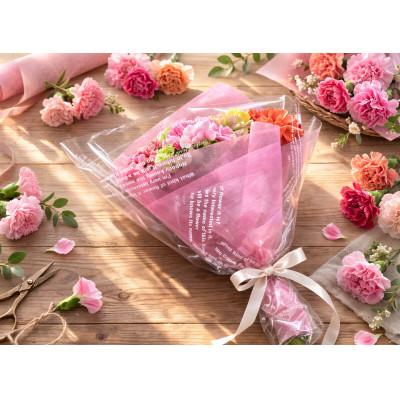 ふるさと納税 西尾市 生産者直送 想いを届けるカーネーション花束