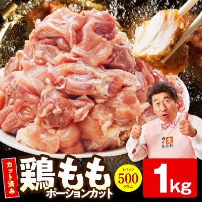 ふるさと納税 泉佐野市 [特別規格]国産 鶏もも肉 ポーションカット 1kg 氷温熟成×極味付け 小分け