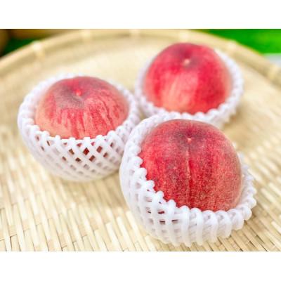ふるさと納税 南三陸町 [限定50箱]桃(化粧箱) 7玉入り