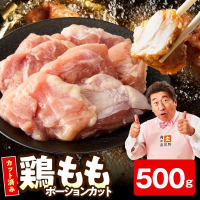 ふるさと納税 泉佐野市 [お試し規格]国産 鶏もも肉 ポーションカット 500g 氷温熟成×極味付け 小分け