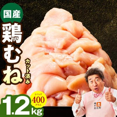 ふるさと納税 泉佐野市 [特別規格]国産 鶏むね肉 1.2kg 氷温熟成×極味付け 小分け 味付き 簡単調理