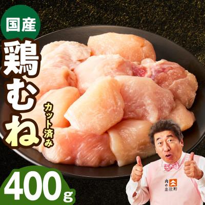 ふるさと納税 泉佐野市 [お試し規格]国産 鶏むね肉 400g 氷温熟成×極味付け 小分け 味付き 簡単調理