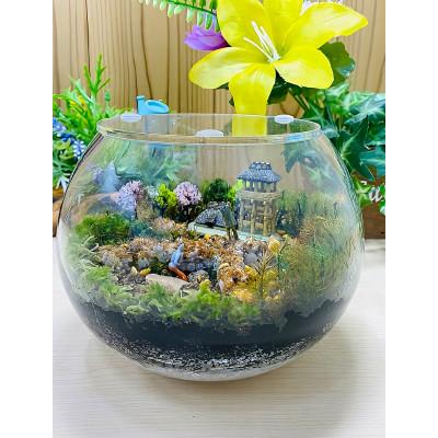 ふるさと納税 播磨町 [苔テラリウム・丸形ガラス・小]ちいさな苔屋さん