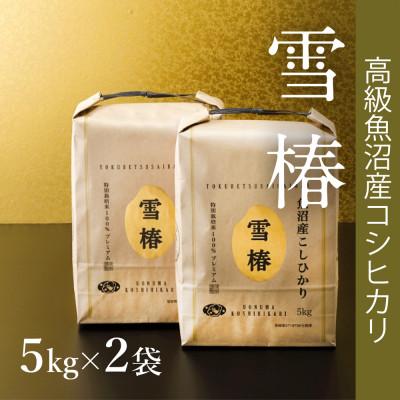 ふるさと納税 津南町 [令和8年産 コシヒカリ 先行予約]高級魚沼産コシヒカリ「雪椿」精米10kg(5kg×2袋)