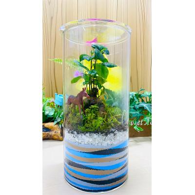 ふるさと納税 播磨町 [苔テラリウム・円筒ガラス]ちいさな苔屋さん