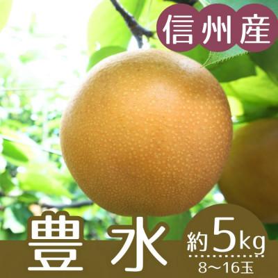 ふるさと納税 下條村 [信州産] 豊水梨 秀品 計約5kg(8〜16玉)9月上旬より順次発送