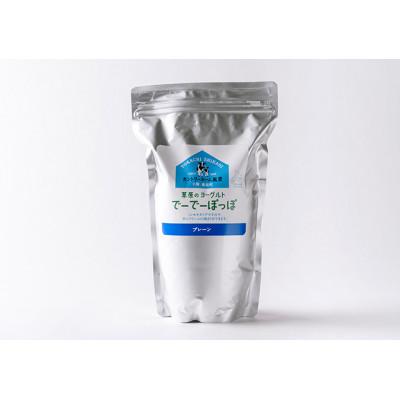 ふるさと納税 鹿追町 草原のヨーグルト でーでーぽっぽ プレーン 1kg×2個