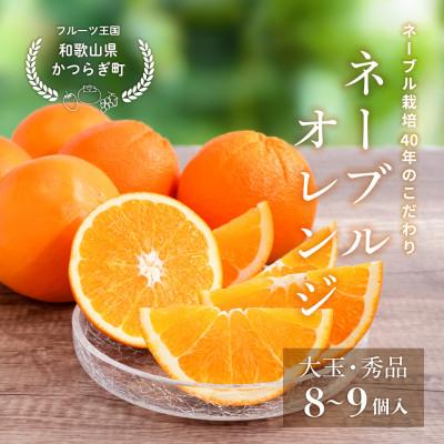 ふるさと納税 かつらぎ町 先行予約! 和歌山県産ネーブル 約4kg 大玉!(8個〜9個)秀品 こだわり農家厳選!
