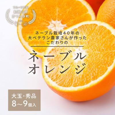 ふるさと納税 美浜町 先行予約! 和歌山県産ネーブル 約4kg 大玉!(8個〜9個)秀品 こだわり農家厳選!