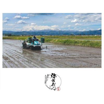 ふるさと納税 喜多方市 雪蔵銀ぴか米コシヒカリ 精米 3kg