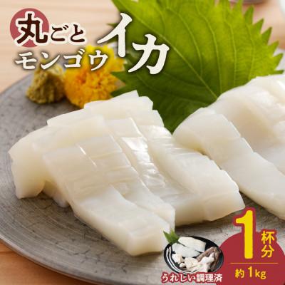 ふるさと納税 備前市 丸ごとモンゴウイカ