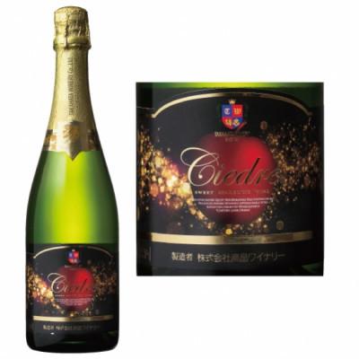 ふるさと納税 高畠町 りんごのスパークリング シードル 750ml やや甘口 りんごのフルーティーな香り[高畠ワイナリー]