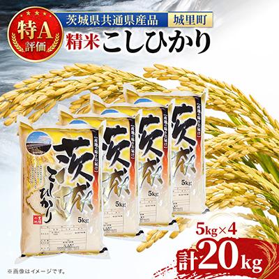 ふるさと納税 水戸市 【令和7年産】茨城県産こしひかり(精米)　20kg(5kg×4) (茨城県共通返礼品/城里町)