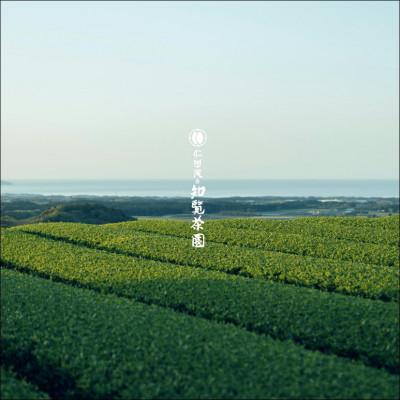 ふるさと納税 南九州市 知覧茶園のオリジナルペットボトル24本入 |  | 03
