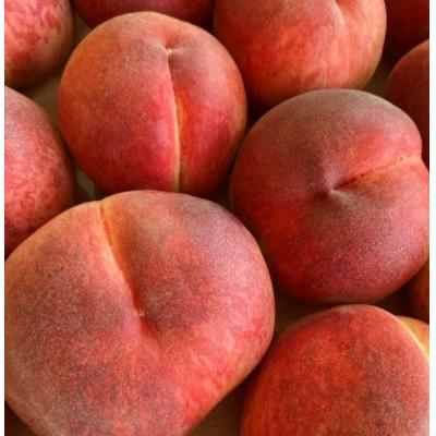 ふるさと納税 中川村 贈答用 桃 3kg(味合格)