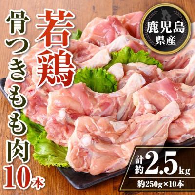 ふるさと納税 伊佐市 鹿児島県産 若鶏骨付きもも10本セット (計約2.5kg・約250g×10本) isa711(伊佐市