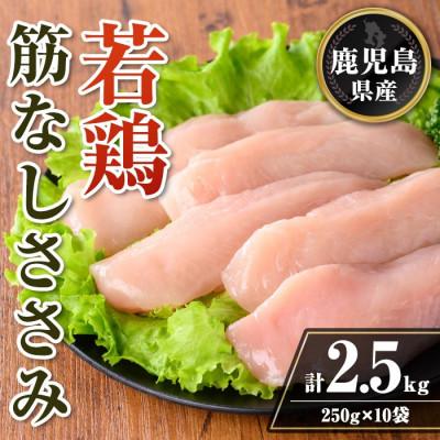 ふるさと納税 伊佐市 鹿児島県産 若鶏筋なしささみセット (計2.5kg・250g×10袋) isa709(伊佐市)