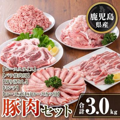 ふるさと納税 伊佐市 鹿児島県産 豚肉セット (合計3kg) isa733(伊佐市)