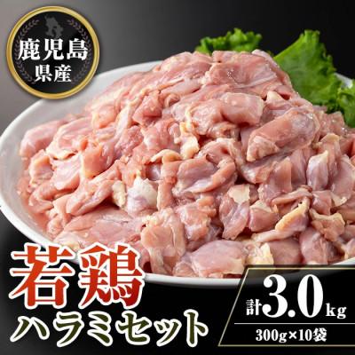 ふるさと納税 伊佐市 鹿児島県産若鶏ハラミセット(計3kg・300g×10P) isa716(伊佐市)