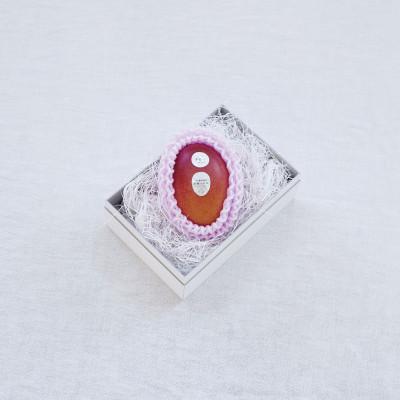 ふるさと納税 音更町 [先行受付]おとふけ産 マンゴー「白銀の太陽プレミアム」M×1玉[C95]