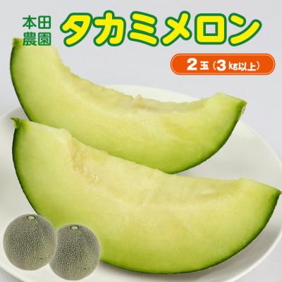 ふるさと納税 富津市 タカミメロン2玉(3kg以上) 本田農園 CN-6