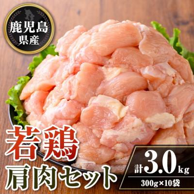 ふるさと納税 伊佐市 鹿児島県産 若鶏肩肉セット (計3kg・300g×10袋) isa724(伊佐市)
