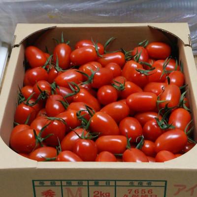 ふるさと納税 九度山町 美浜町産 松トマト(アイコ)