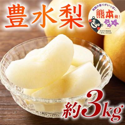 ふるさと納税 荒尾市 熊本県産 豊水梨 秋の味覚の甘いフルーツ・ナシ 約3kg(4〜12玉) (荒尾市)