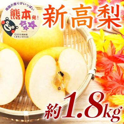 ふるさと納税 荒尾市 新高梨 5〜8玉 約1.8kg(荒尾市)